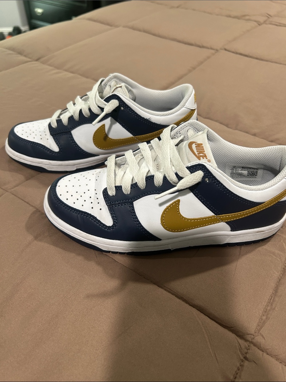 Nike Dunks